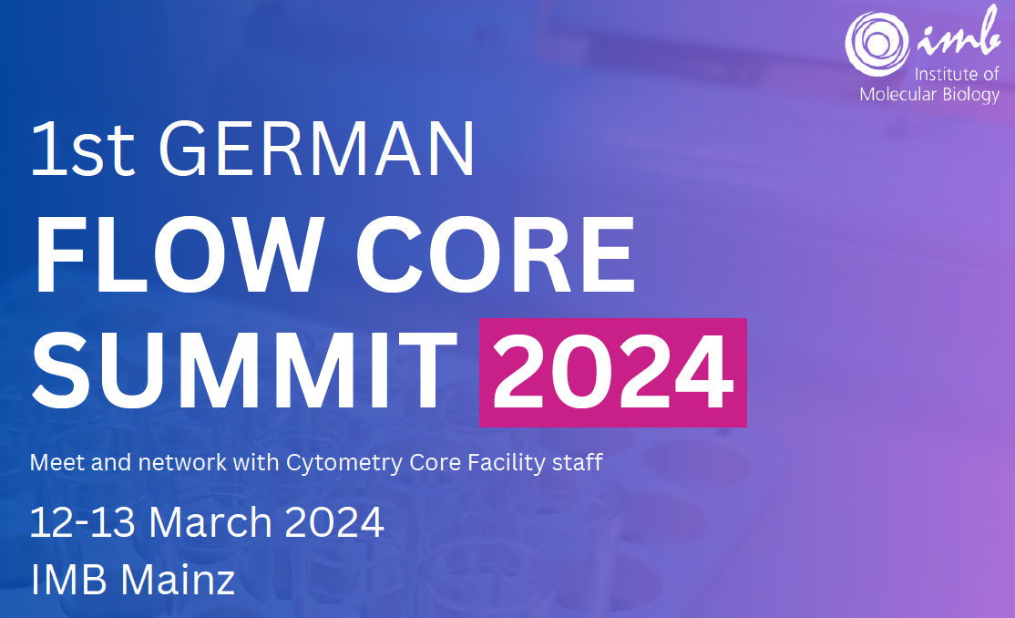 Read more about the article 1st German FlowCore Summit
